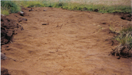 aplicaci&oacute;n de petroclean