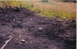 hidrocarburo
